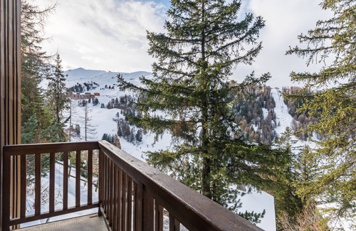 Plagne 1800 Ski Chalet | Chalet Antonin Plagne 1800 300m from the lifts