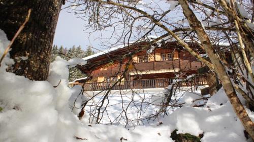 Le Grand-Bornand Ski Chalet | chalet artheis