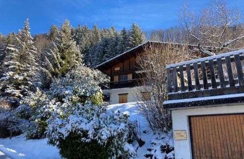 Le Grand-Bornand Ski Chalet | chalet artheis