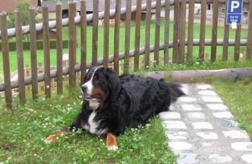 Sankt Margarethen im Lungau House | Chalet with sauna