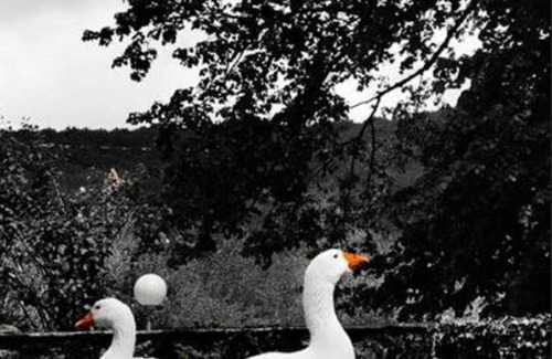 Terrasson-la-Villedieu Ski Chalet | CHALET CONFORT 8 - the clos of the mill