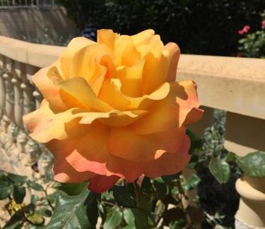 La Colina House | Chalet con vista al mar