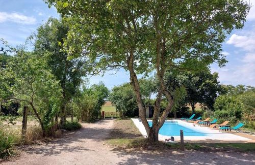 Chateaudun House | Chalet cosy et romantique avec terrasse en Eure-et-Loir - FR-1-581-148