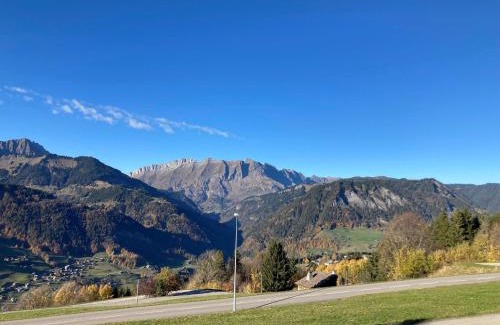 Crest-Voland Ski Chalet | Chalet de charme avec sauna et vue sur les montagnes - FR-1-505-181