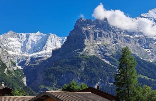 Grindelwald Apartment | Chalet Engi Apt. 3 for up to 8 People