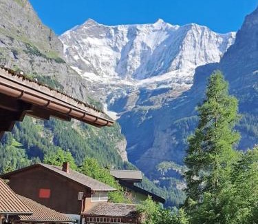 Grindelwald Apartment | Chalet Engi Apt. 3 for up to 8 People