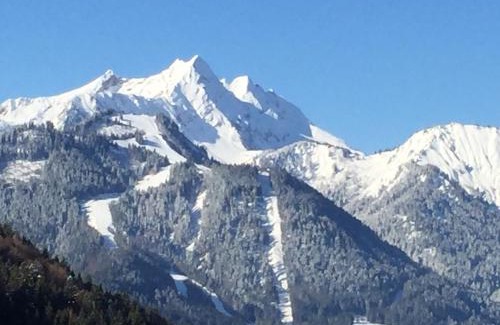 Saint-Jean-dʼAulps Ski Chalet | Chalet Fleur des Neiges