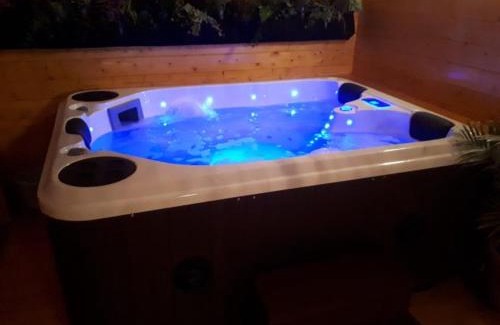 Mios Boat Rental | Chalet flottant sur lac et spa