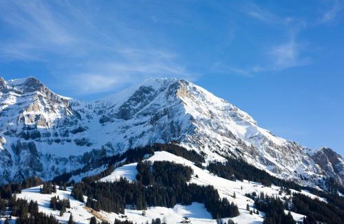 Adelboden Hotel | Chalet-Hotel Beau-Site