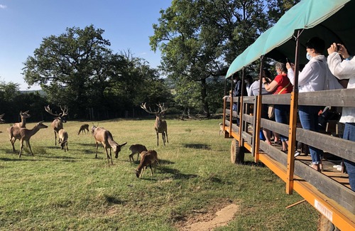Gages Ski Chalet | Chalet in a wildlife park - Chalet Le Ruthénois