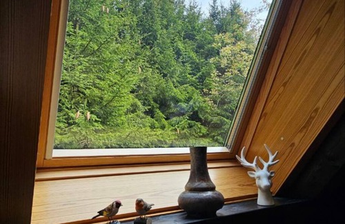 Blankenheim Ski Chalet | Chalet in Freilingen Blankenheim with pool and close to the lake in the middle of nature