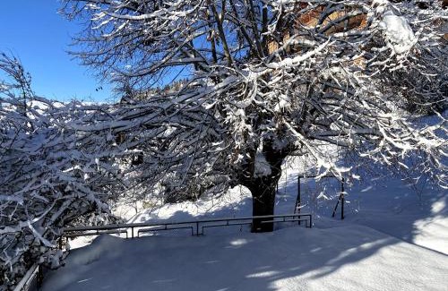 Ollon Ski Chalet | Chalet in Villars-sur-Ollon