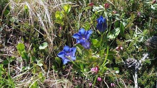 Arabba Apartment | Chalet Karin