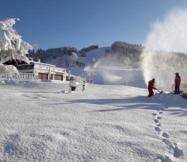 Notre-Dame-de-Bellecombe Ski Chalet | Chalet Le Wapiti, aux pieds des pistes, à 200m du village