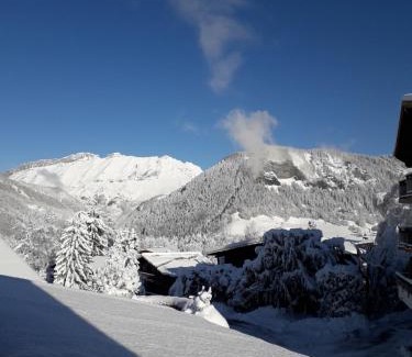 Notre-Dame-de-Bellecombe Ski Chalet | Chalet Le Wapiti, aux pieds des pistes, à 200m du village