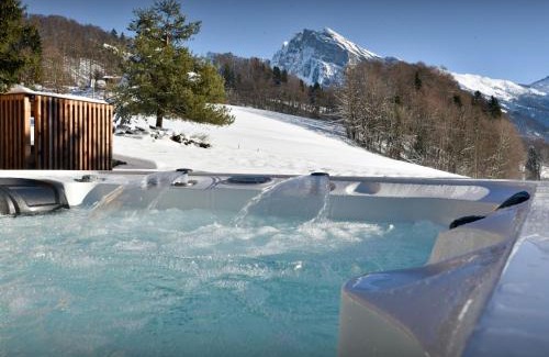 Samoens Ski Chalet | Chalet La Parenthèse - OVO Network