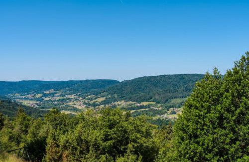 Le Tholy Ski Chalet | Chalet les moraines 8