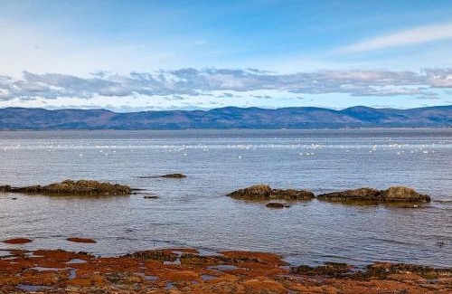 Cap-Saint-Ignace Ski Chalet | Chalet Loft #4 Waterfront with Spa Fireplace and Wifi