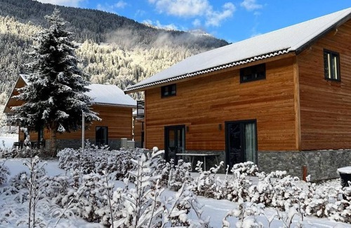 Feld am See Ski Chalet | Chalet Luxe 8 - Dual Park Afritz am See