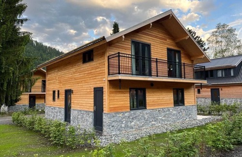 Feld am See Ski Chalet | Chalet Luxe 8 - Dual Park Afritz am See