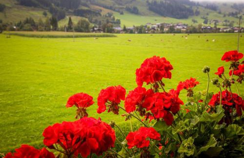 Leogang Apartment | Chalet Matzhof