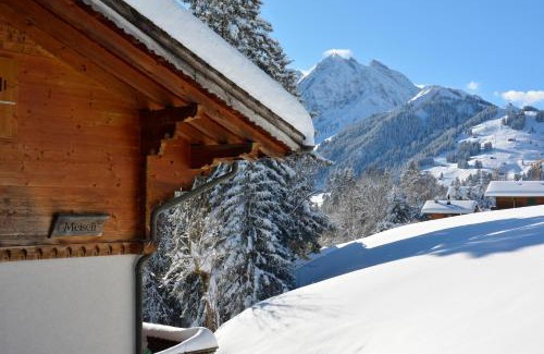 Adelboden Apartment | Chalet Meiseli