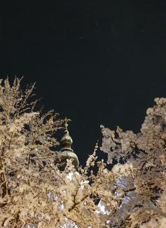 Flachau Apartment | CHALET MONTIS