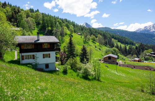 Bellwald Apartment | Chalet Orion