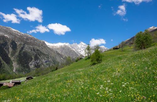 Bellwald Apartment | Chalet Orion