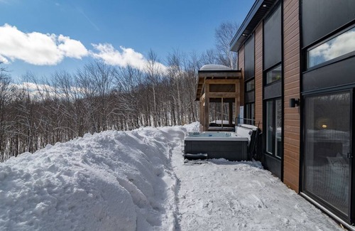 Chertsey Ski Chalet | Chalet Orkidea ᪥ Hot Tub, Lake Access, Kayaks ♥