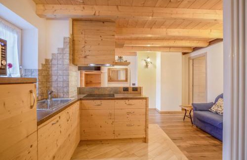 Campitello di Fassa Apartment | Chalet Osmar Appartamento 2