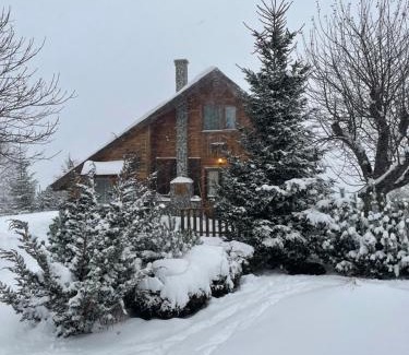 Pestera House | Chalet Ro