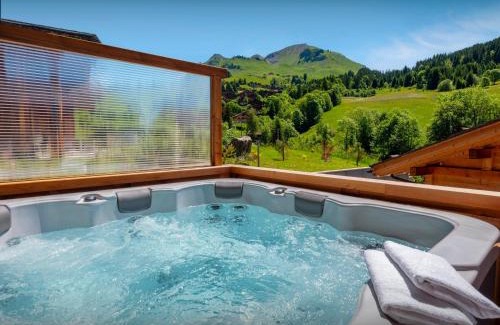 Le Chinaillon Ski Chalet | Chalet Trusquin - OVO Network