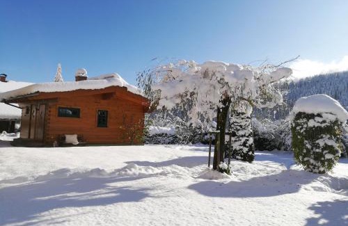 Wagrain Apartment | Chalet - Urlaub bei Freunden