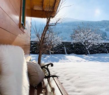 Wagrain Apartment | Chalet - Urlaub bei Freunden