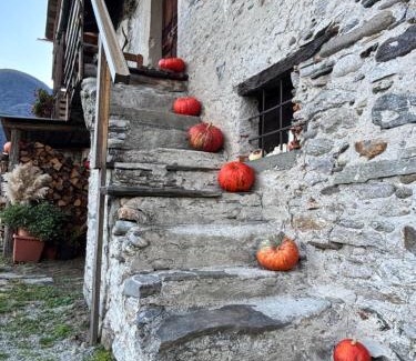 Prata Camportaccio House | Chalet Valchiavenna