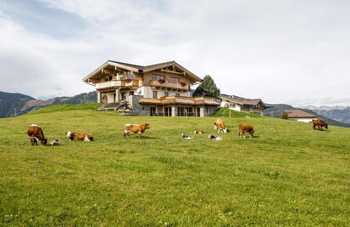 Flachau Ski Chalet | Chalet Winterbauer