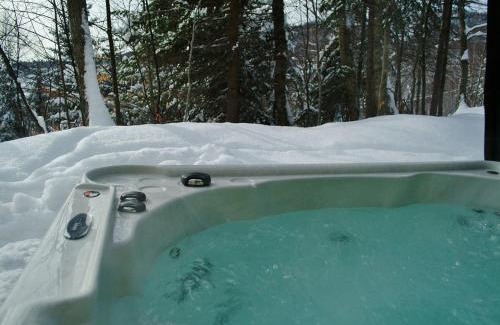 Stoneham Ski Chalet | Chalets Alpins - 40 Chemin des Skieurs (Unité A)