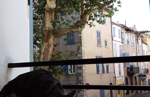 Draguignan Bed & Breakfast | Chambre à Louer