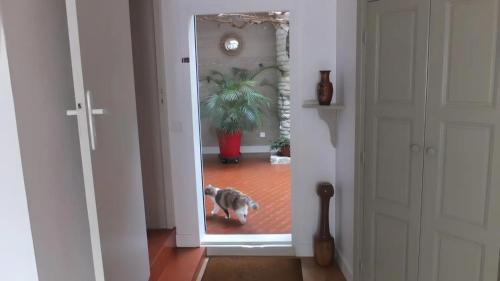 Ars-en-Re Bed & Breakfast | Chambre D'hôtes