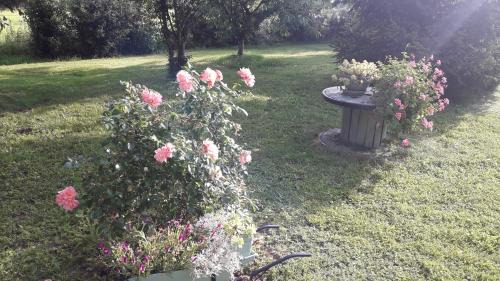 Coulaines Bed & Breakfast | Chambre d'hôte avec piscine couverte