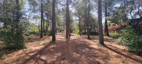 Eguilles Bed & Breakfast | Chambre d'hôte BB proche d'Aix en Provence