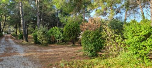 Eguilles Bed & Breakfast | Chambre d'hôte BB proche d'Aix en Provence