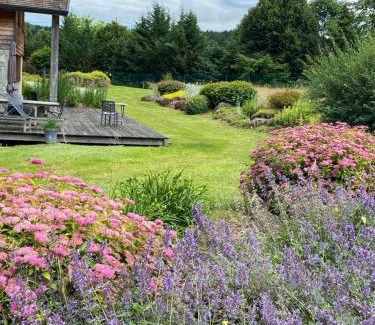 Le Hohwald Bed & Breakfast | Chambre d'hôtes La Forestière