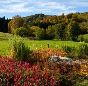 Le Hohwald Bed & Breakfast | Chambre d'hôtes La Forestière