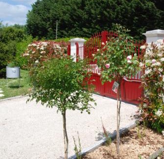 Fougeres-sur-Bievre Bed & Breakfast | Chambre d'hotes "Les Paturelles"