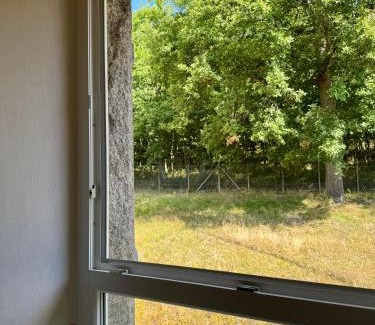 Bergheim Bed & Breakfast | Chambre Forêt