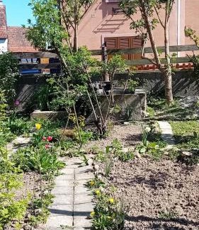 Chatenois Bed & Breakfast | Chambre spacieuse dans joli village alsacien