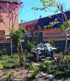 Chatenois Bed & Breakfast | Chambre spacieuse dans joli village alsacien