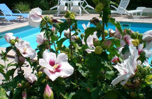 Malemort-sur-Correze House | Chambres d'Hôtes Le Clos des Senteurs